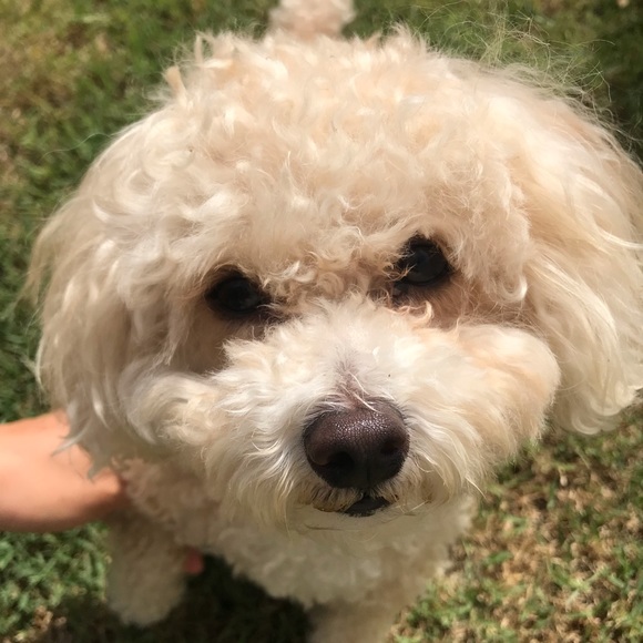 Meet your Posher, Myriam - Picture 1 of 1